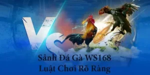 Hướng Dẫn Cách Chơi Đá Gà WS168 Tại SV368 Chuẩn Xác Và Hiệu Quả