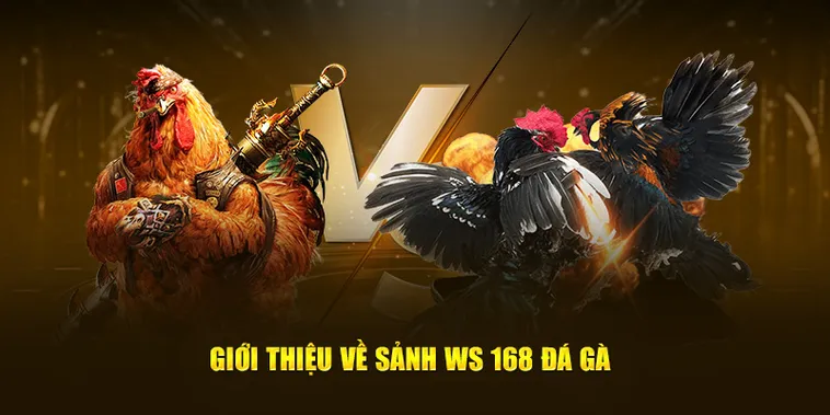 Hướng Dẫn Cách Chơi Đá Gà WS168 Tại SV368 Chuẩn Xác Và Hiệu Quả