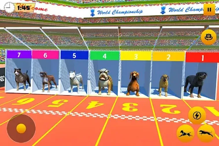 Khám Phá Cách Chơi Game Nhanh Đua Chó Tại SV368 Với Mẹo Dự Đoán Hiệu Quả